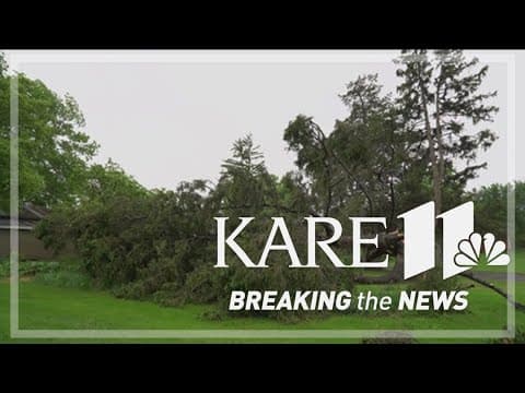 Beloved Medina tree downed in MN storms