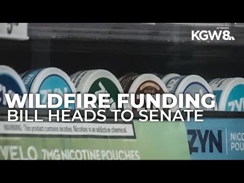 Oregon House passes new tax on nicotine pouches for wildfire funding