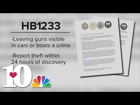 City leaders across TN call for state to pass bill that would require guns in vehicles to be secured