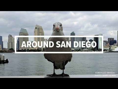 Around San Diego | April 7