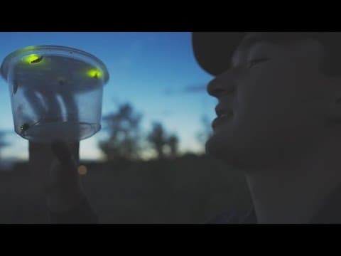 YouTube thumbnail for video pPE_ASFTVQg