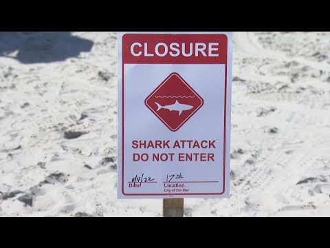 Bodysurfer describes the moment when he was bumped by a shark at Windandsea Beach
