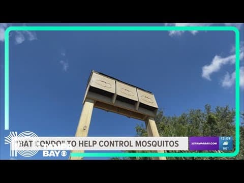 Local scouts help install bat condo to help with mosquito control