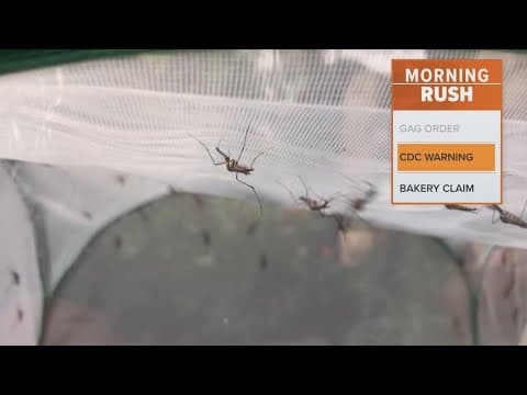 CDC warns of spike in mosquito-borne illness