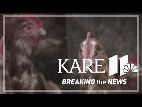 Bird flu impacts Michael Foods after outbreak at Iowa facility