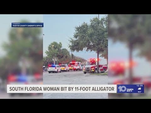 South Florida woman bit by 11-foot alligator