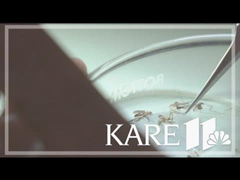 CDC: Locally acquired malaria cases found in two U.S. states