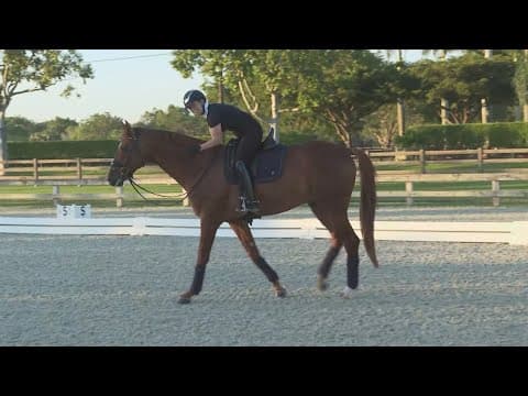 Transporting horses overseas for equestrian events at 2024 Paris Olympics