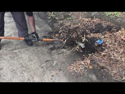 New contact to report catch basin concerns in New Orleans