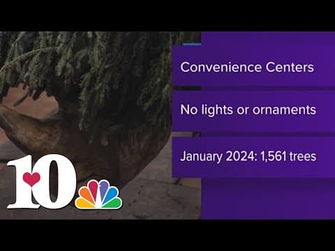 Haven't tossed your live Christmas tree? Here's an option