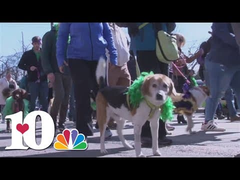 Mardi Growl festival and pet parade returning to Knoxville
