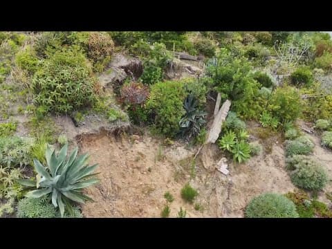 Leucadia couple fears losing home after backyard landslide