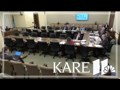 New Minnesota House committee on fraud prevention begins work