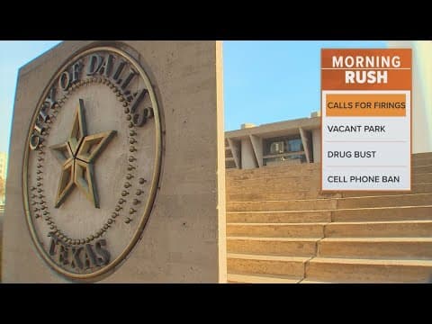 Dallas City Council members call for firings related to fire pension