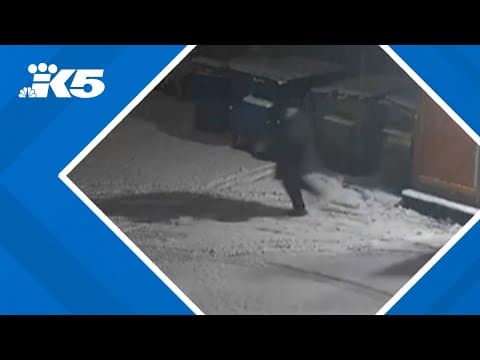 West Seattle restaurant targeted in 'egg burglary' amid rising prices