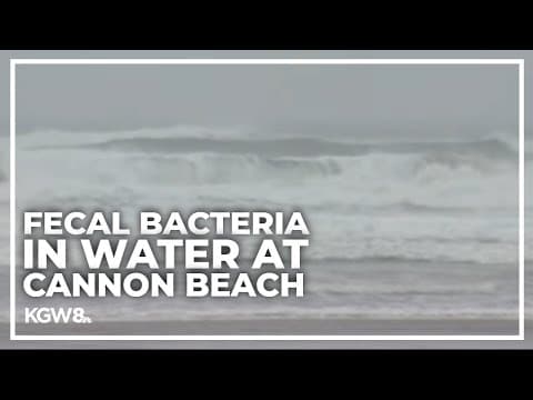 Unsafe levels of fecal bacteria found in ocean water in Cannon Beach state park