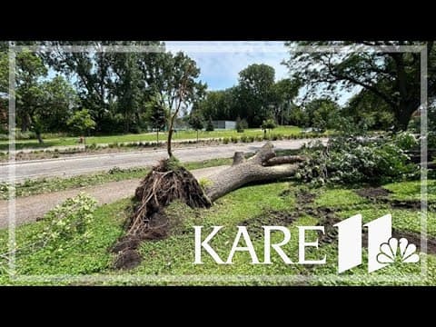 Overnight storms uprooted trees and caused power outages for thousands of families