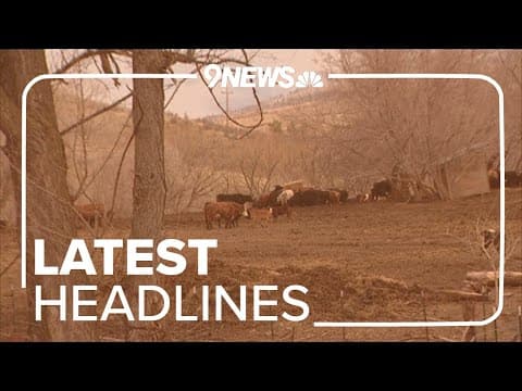 Latest headlines | Man accused of shooting, killing cattle belonging to a neighbor