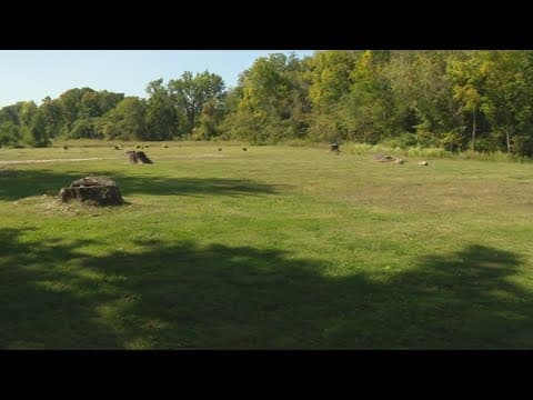 Plans for Hamilton County domestic violence shelter on hold due to 'financial constraints'