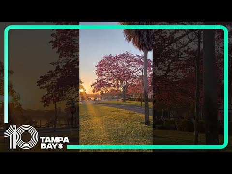 YouTube thumbnail for video q4Lw-ljh8Kw