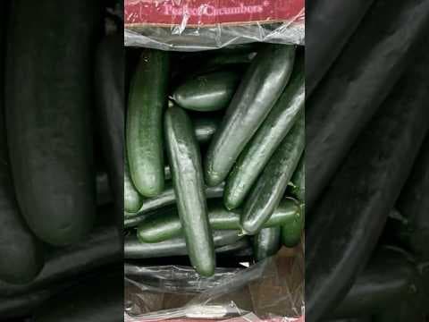 Cucumber Recall in US, Canada
