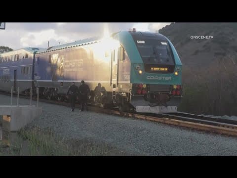 Man hit and killed by train while trying to save dog in Sorrento Valley