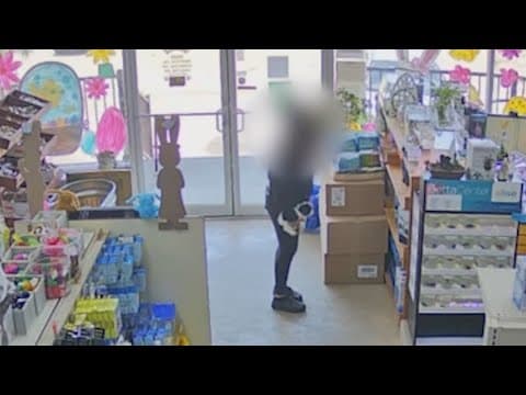 Shih Tzu and Dachshunds returned after SE Houston pet store theft