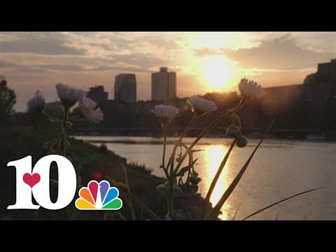 How you can deal with spring allergies