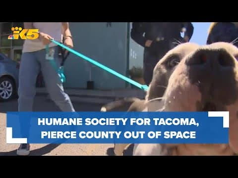 'A state of emergency': Humane Society for Tacoma & Pierce County out of kennel space