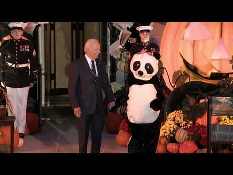 Jill Biden greets trick-or-treaters at White House dressed as giant panda