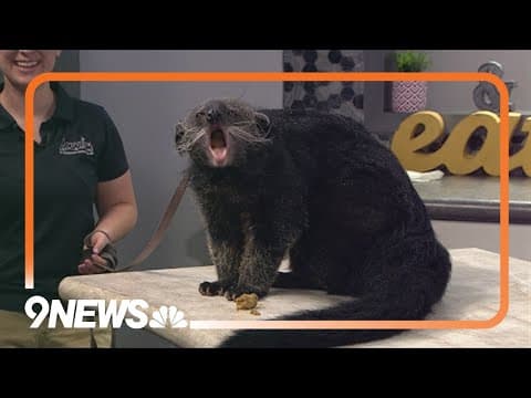 Downtown Aquarium hosting Endangered Species Day event