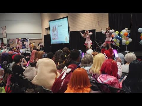 'METROCON,' Scallop & Music Festival, more happening across Tampa Bay this weekend!