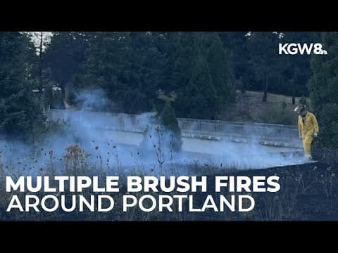 Crews battle multiple brush fires across Portland area