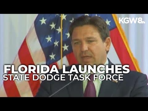 Florida governor launches state DOGE task force