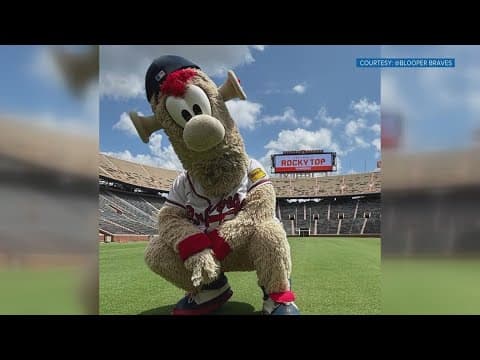 Braves' mascot Blooper takes a trip to 'Rocky Blop' ahead of first-ever Tennessee MLB game at BMS