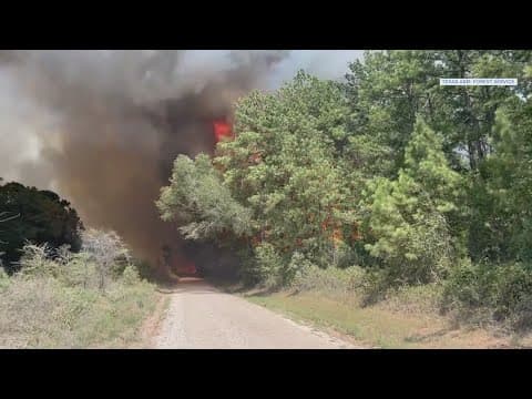 2 firefighters suffer burn injuries in San Jacinto County wildfire