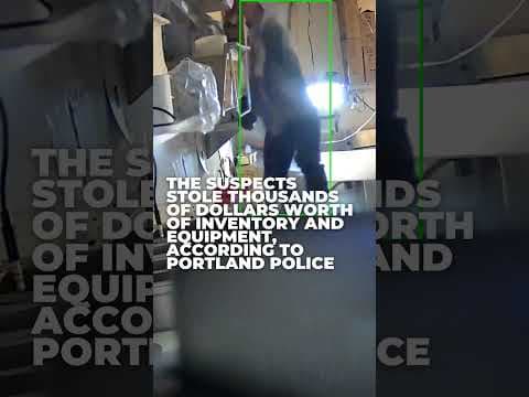 Portland burglar steals thousands after falling through restaurant roof
