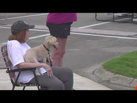 Dog competition takes place in Farragut
