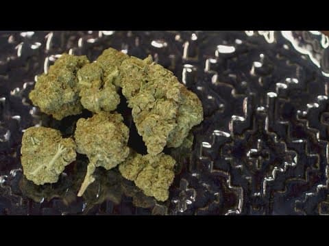 3 key bills being discussed during Texas' 89th Legislative Session