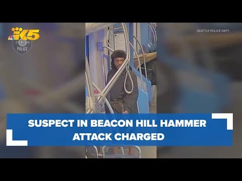 Suspect in Beacon Hill hammer attack charged