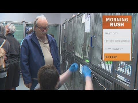 North Texans adopted more than 60 dogs affected by the L.A. fires