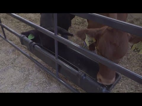 What you need to know for the Tennessee Valley Fair