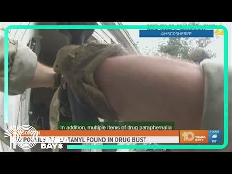 20 pounds of fentanyl found in drug bust in Gibsonton
