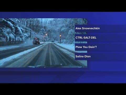 'Alex Snowvechkin', 'Saline Dion' | Arlington has vote on its new snow plow name