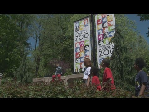 Smithsonian National Zoo hosts annual Easter Monday egg hunt | The Night Cap