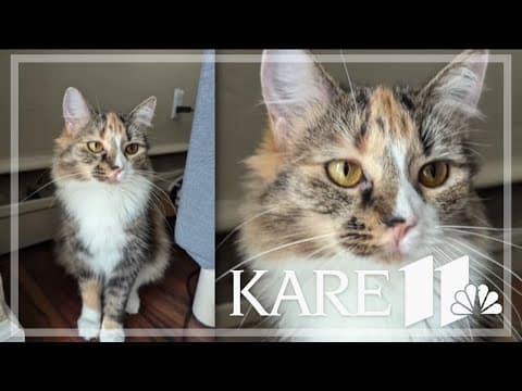 Your Good News: Stella, Darby, Felicity