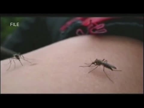 Orleans Parish records first West Nile virus case in 2025
