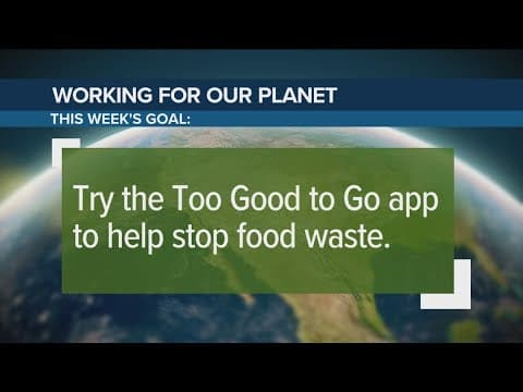 Try the 'Too Good To Go' app to help prevent food waste | Working for Our Planet