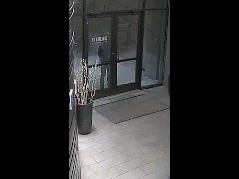 Caught on camera: Artwork stolen from Seattle building