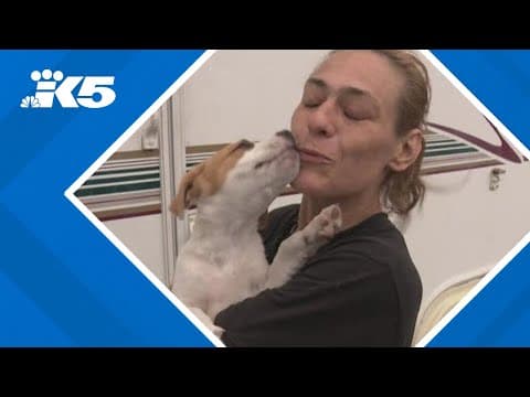 Police arrest teens in Spanaway for allegedly assaulting homeless woman